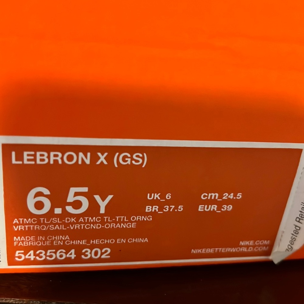 Boys youth LeBron X(GS) Nike basketball sneakers